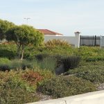 Residential Landscaping Merced