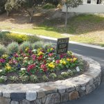 Curb Landscaping Pacific grove