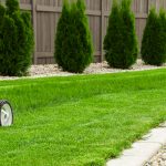 uv-landscaping-home-lawn-care-feature